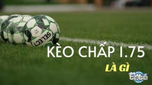 Kèo chấp 1.75 là gì? Cách đọc kèo và chốt kèo thắng lớn