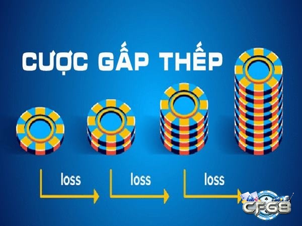 Cược gấp thếp là bí kíp chơi tài xỉu bất bại 