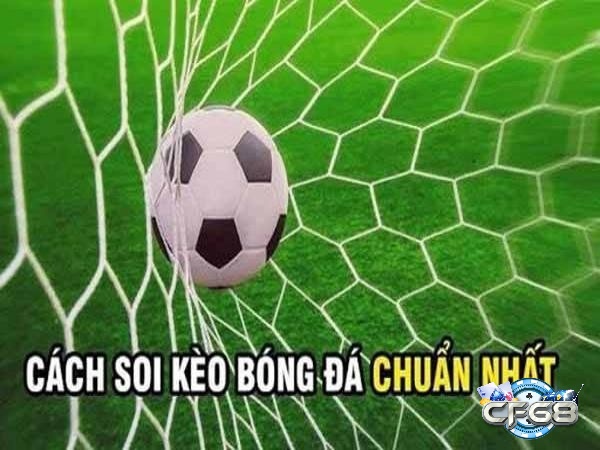 Kinh nghiệm cược kèo chấp 1 trái từ cao thủ chia sẻ 