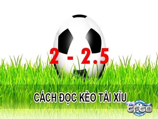 Cách tính kèo tài xỉu 2.5 cược như thế nào?